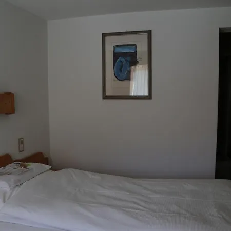 Inn Helvetia 3*